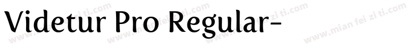 Videtur Pro Regular字体转换